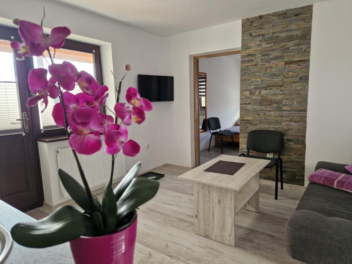 Apartamenty U Krystyny Klikuszowa Ngoại thất bức ảnh